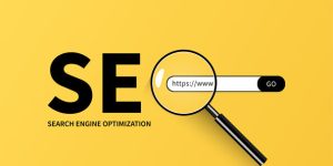 SEO in Nagpur