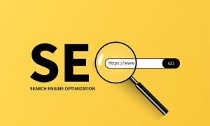 SEO in Nagpur