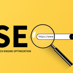 SEO in Nagpur